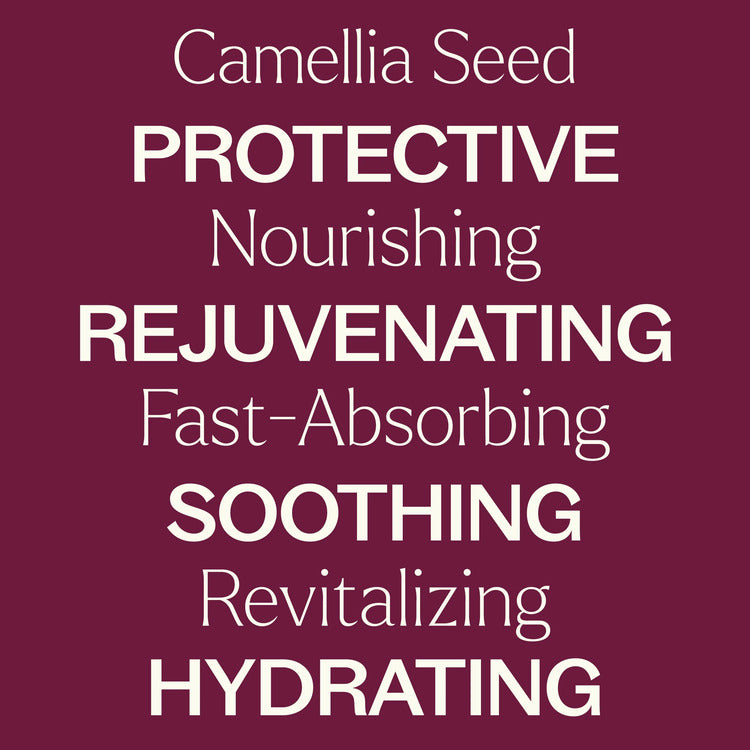 Plant Therapy Camellia Seed Carrier Oil