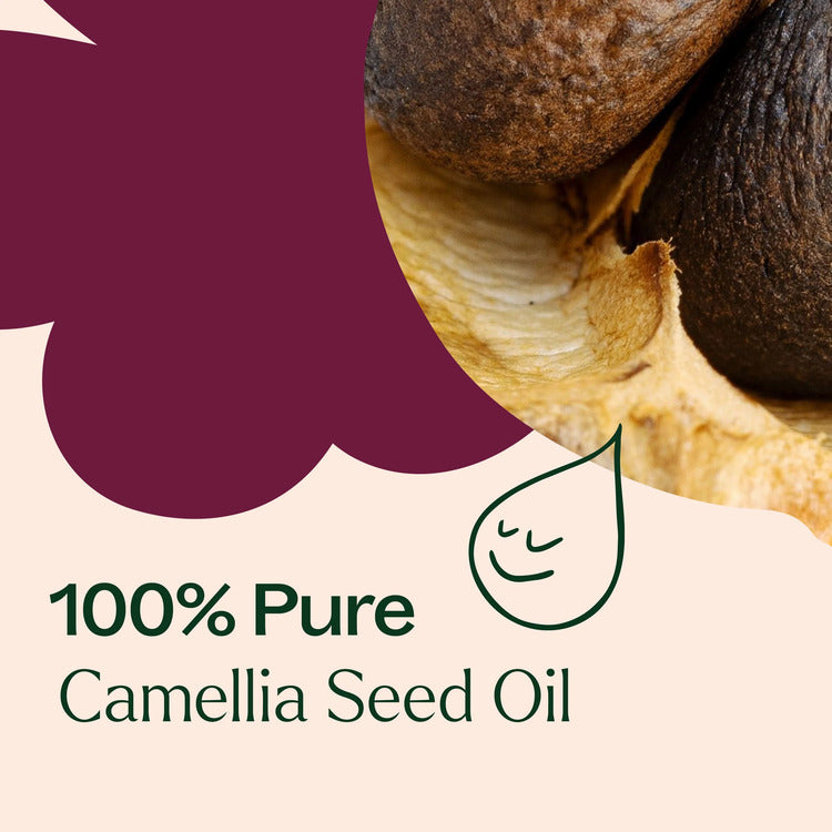 Plant Therapy Camellia Seed Carrier Oil