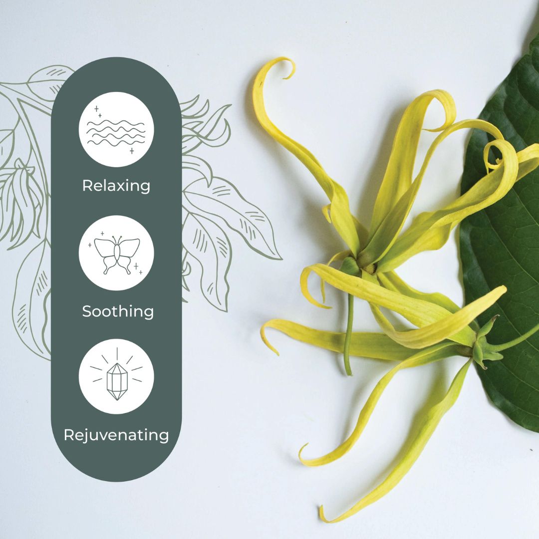 Plant Therapy Cananga Essential Oil