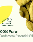 Plant Therapy Cardamom Essential Oil
