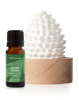 Plant Therapy Cedar & Pine Passive Diffuser Set