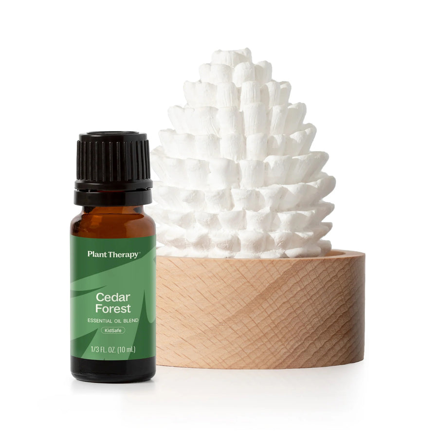 Plant Therapy Cedar & Pine Passive Diffuser Set