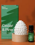 Plant Therapy Cedar & Pine Passive Diffuser Set