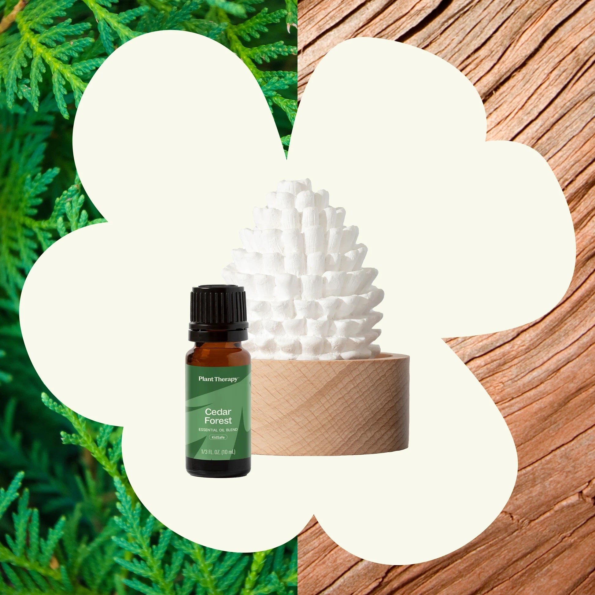 Plant Therapy Cedar &amp; Pine Passive Diffuser Set