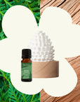 Plant Therapy Cedar & Pine Passive Diffuser Set