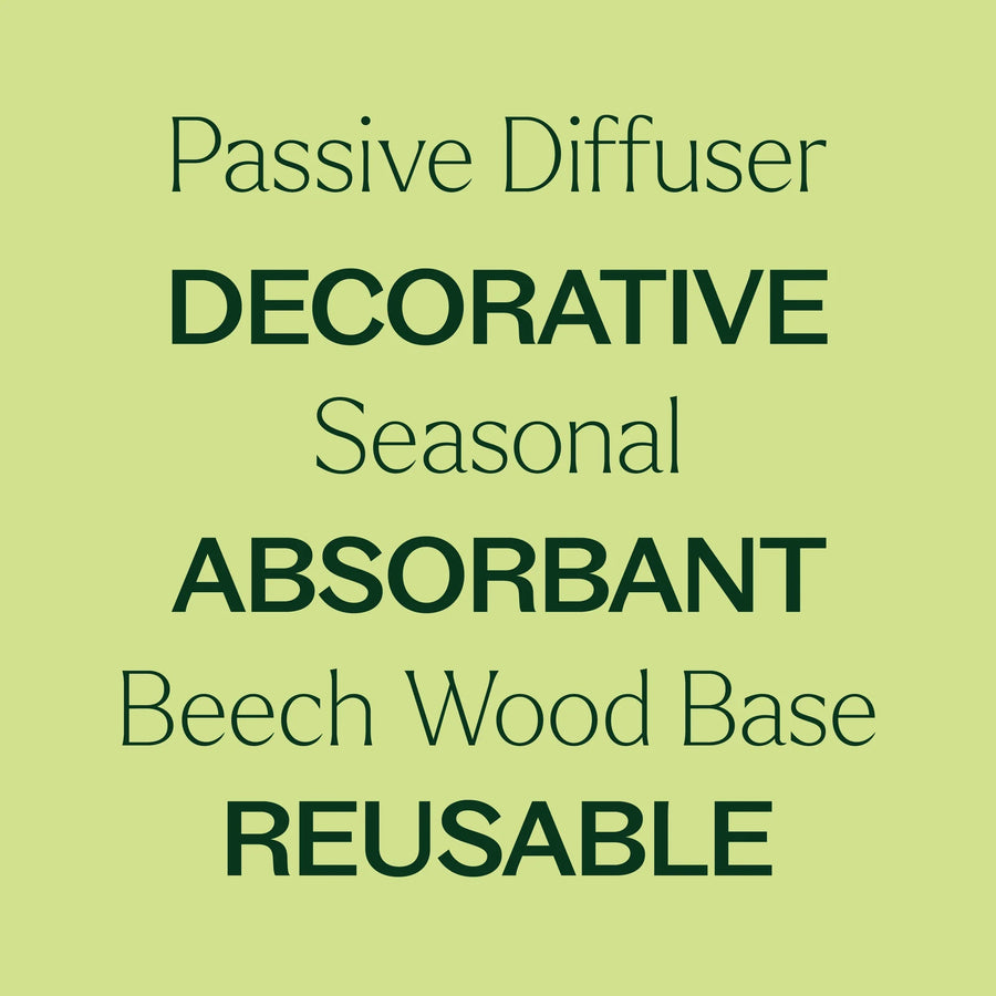 Plant Therapy Cedar & Pine Passive Diffuser Set