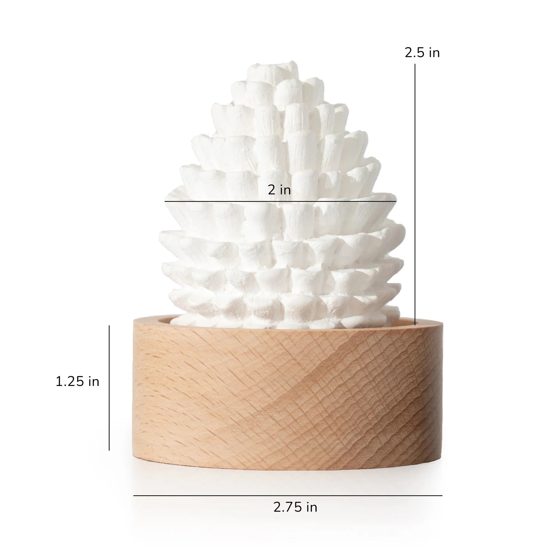 Plant Therapy Cedar &amp; Pine Passive Diffuser Set