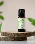 Plant Therapy Celery Seed Essential Oil 10ml