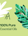 Plant Therapy Christmas Tree Essential Oil Blend 10ml