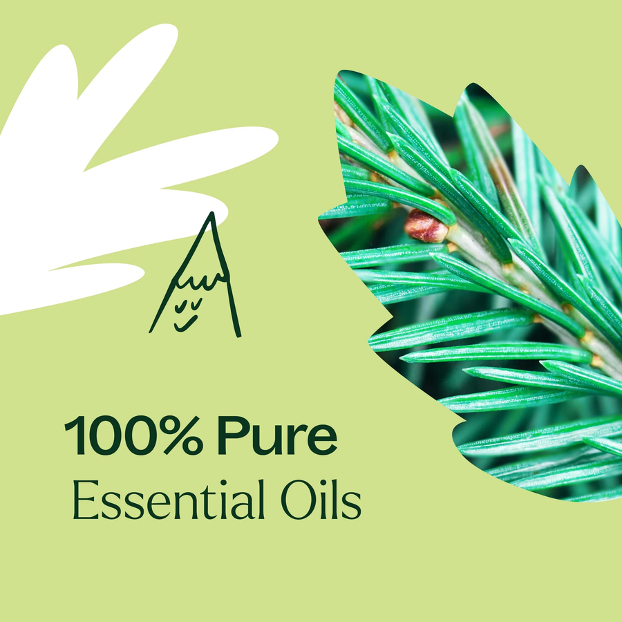 Plant Therapy Christmas Tree Essential Oil Blend 10ml