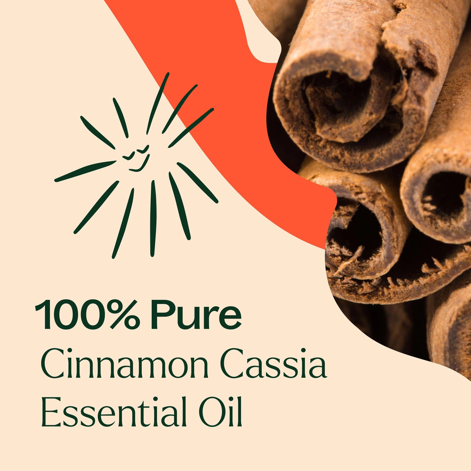 Plant Therapy Cinnamon Cassia Essential Oil