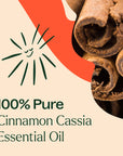 Plant Therapy Cinnamon Cassia Essential Oil