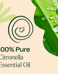 Plant Therapy Citronella Essential Oil