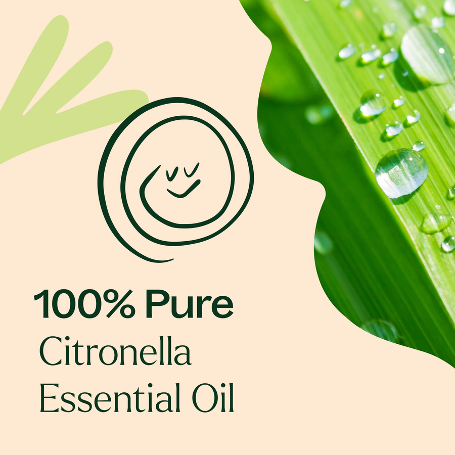 Plant Therapy Citronella Essential Oil