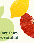 Plant Therapy Citrus Burst Essential Oil Blend