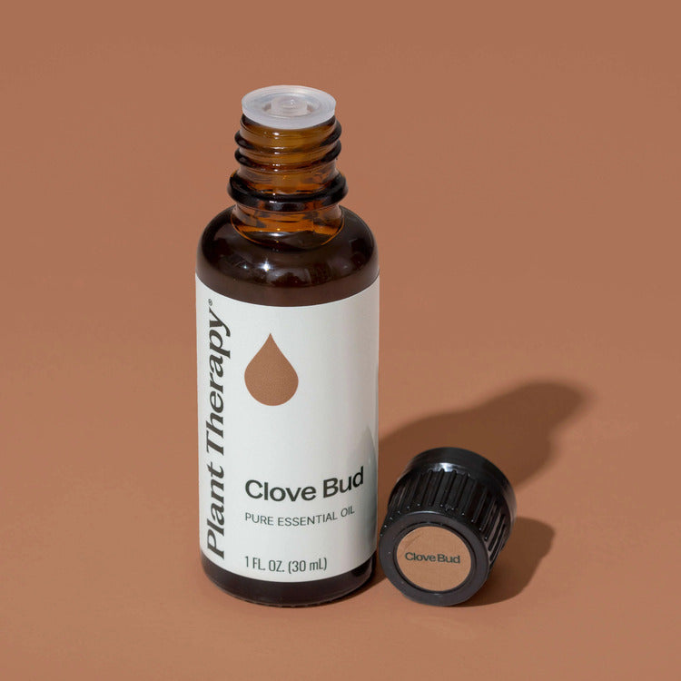 Plant Therapy Clove Bud Essential Oil