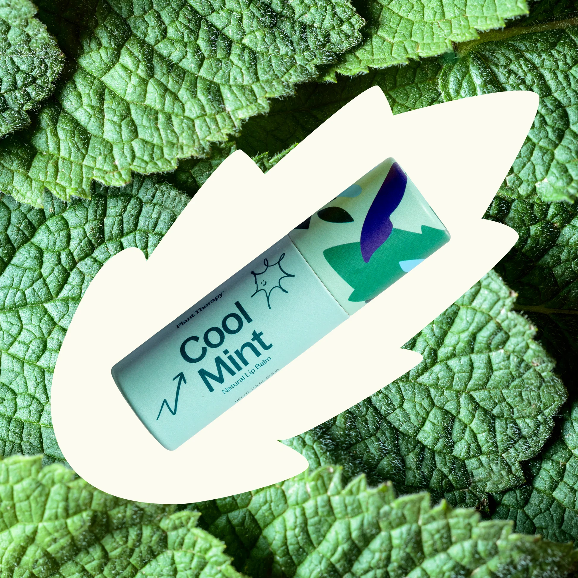 Plant Therapy Love Your Lips Natural Lip Balm Trio Set