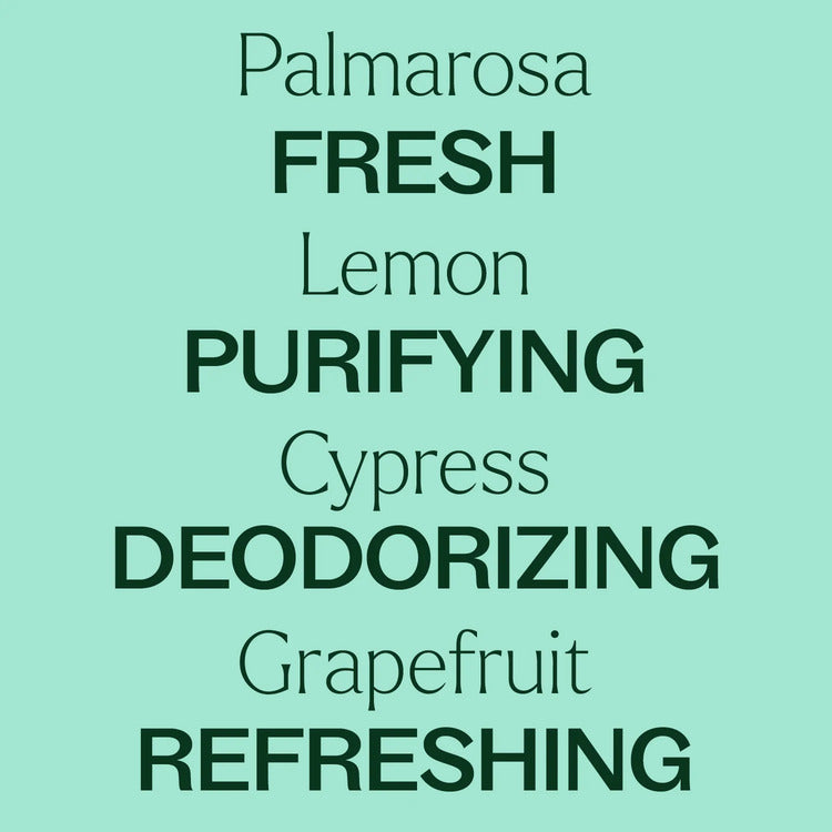 Plant Therapy Deodorizing Powder