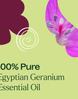 Plant Therapy Geranium Egyptian Essential Oil