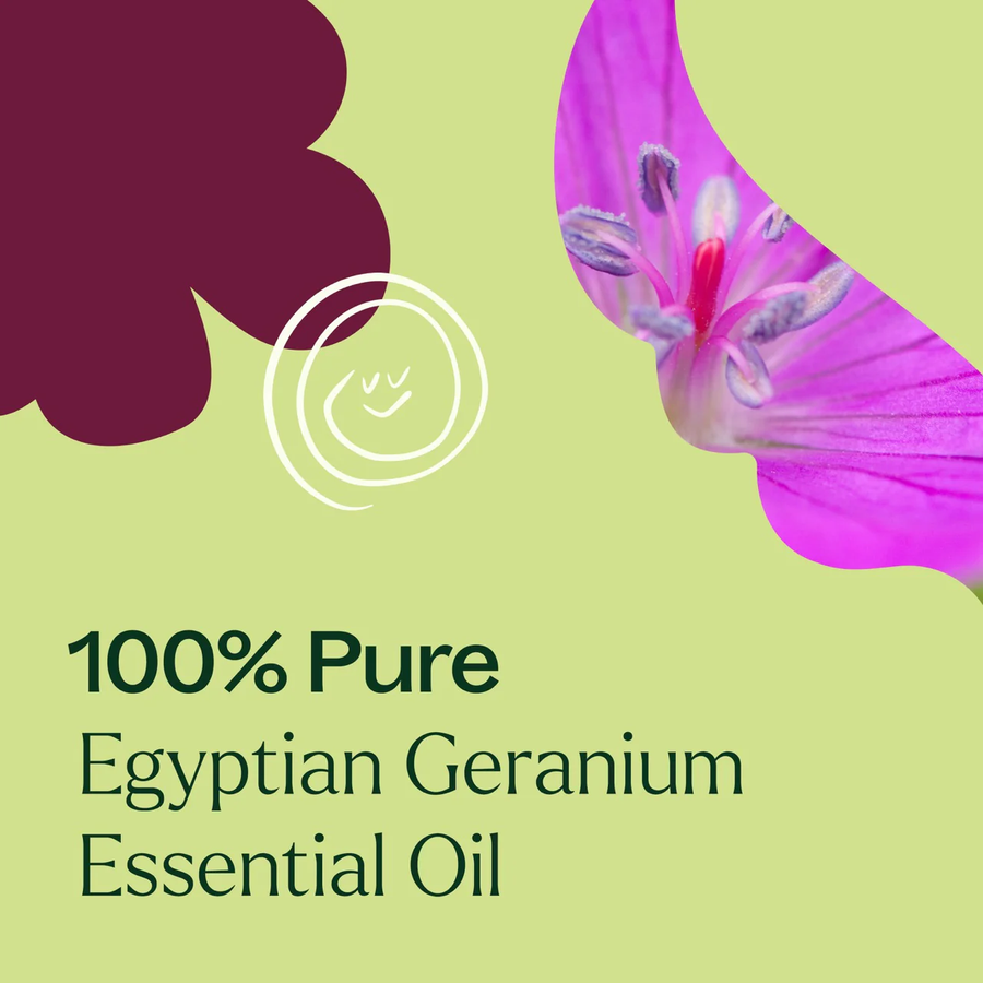 Plant Therapy Geranium Egyptian Organic Essential Oil