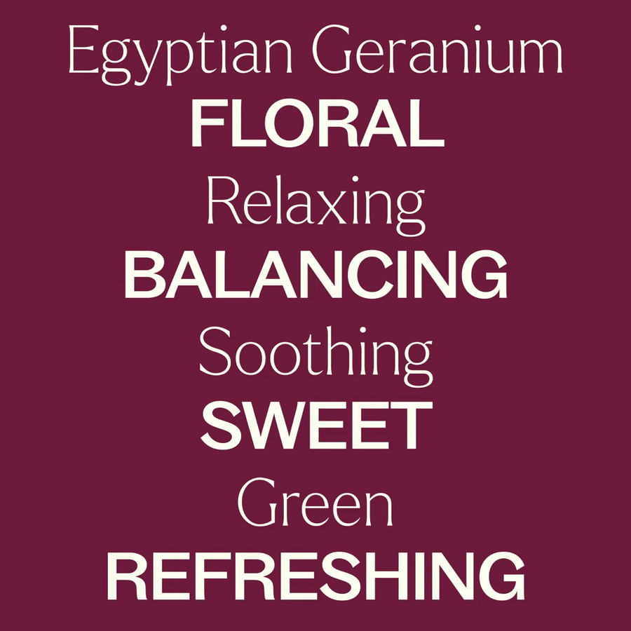 Plant Therapy Geranium Egyptian Essential Oil