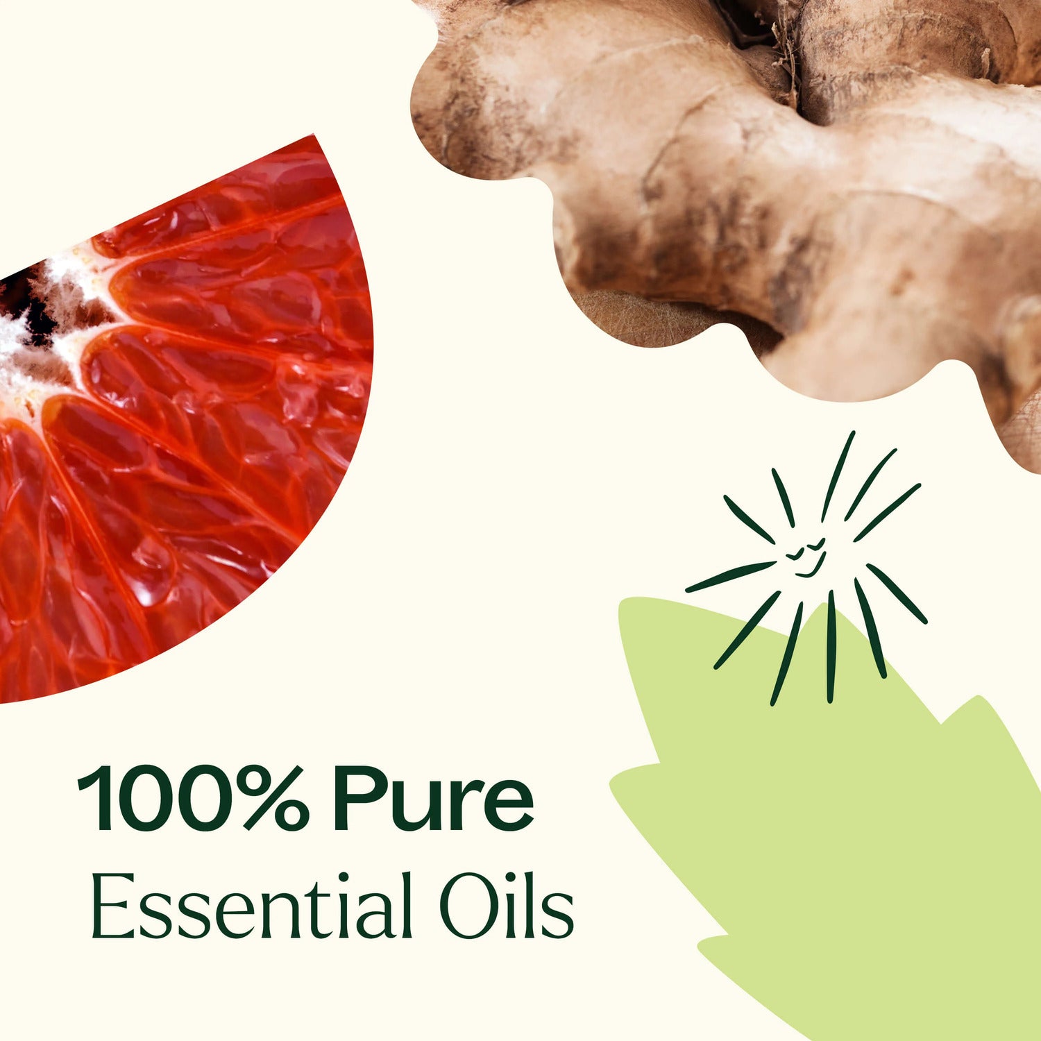 Plant Therapy Energy Essential Oil Blend