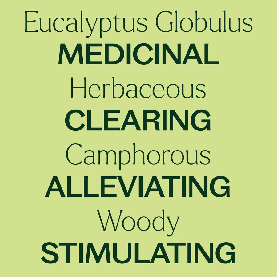 Plant Therapy Eucalyptus Globulus Essential Oil