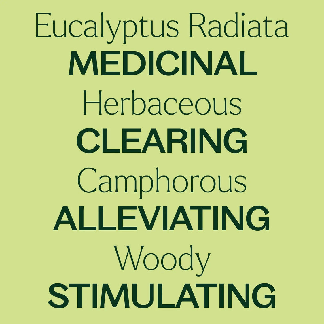 Plant Therapy Eucalyptus Radiata Essential Oil
