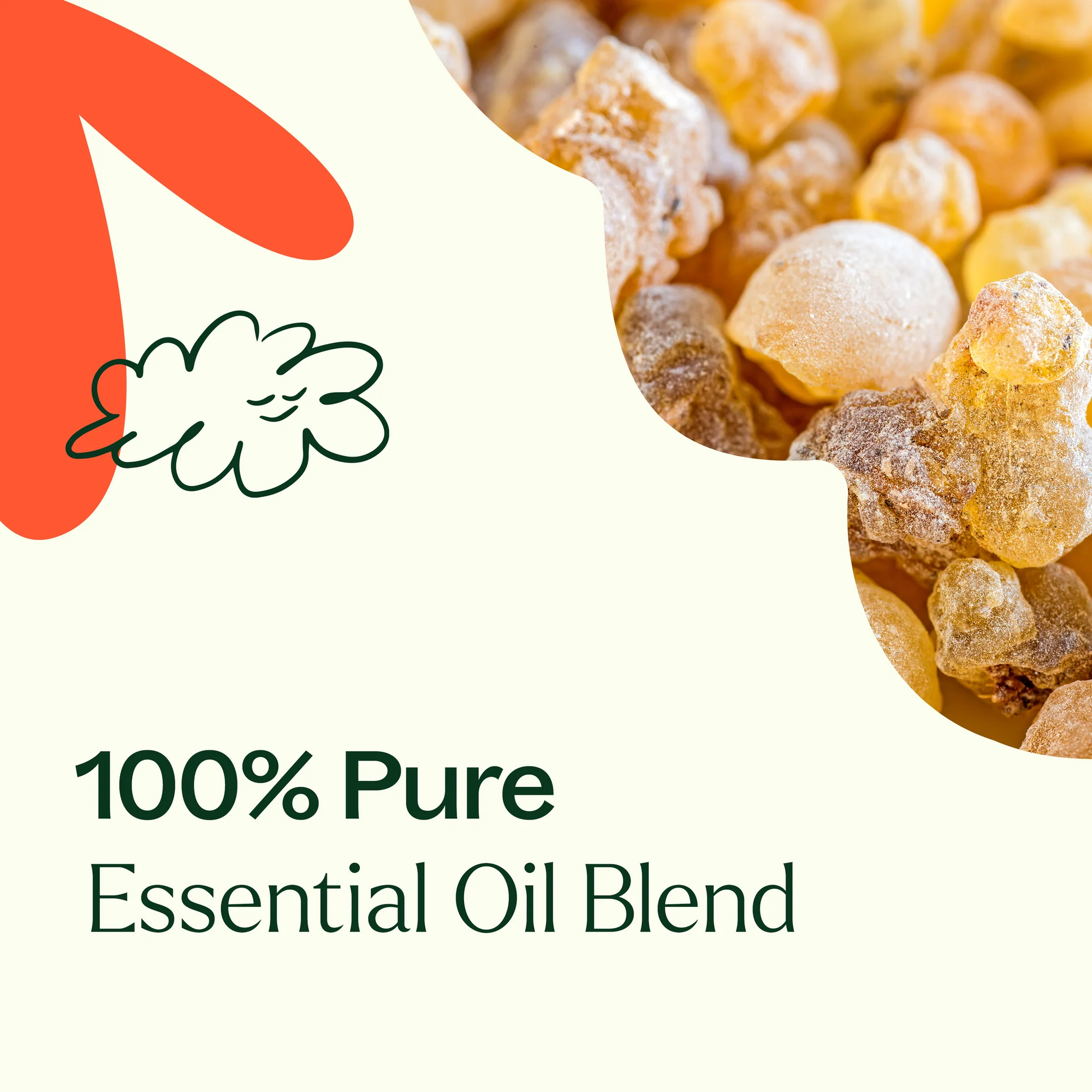 Plant Therapy Fantastic Franks Essential Oil Blend