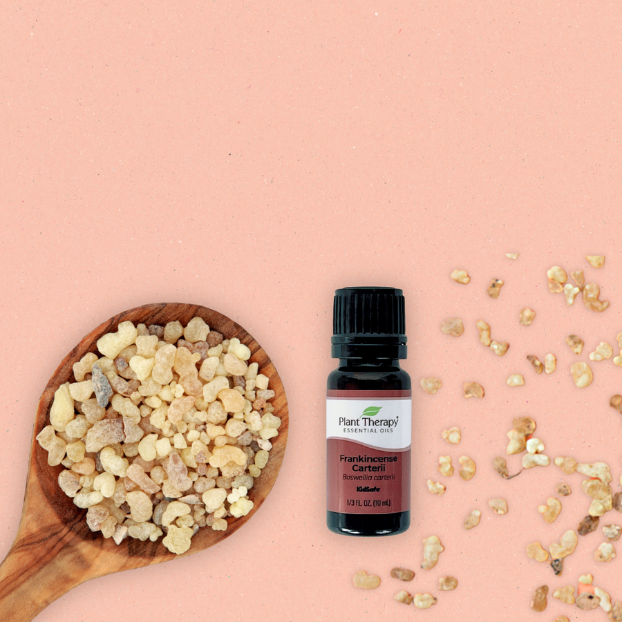 Plant Therapy Frankincense Carterii Essential Oil