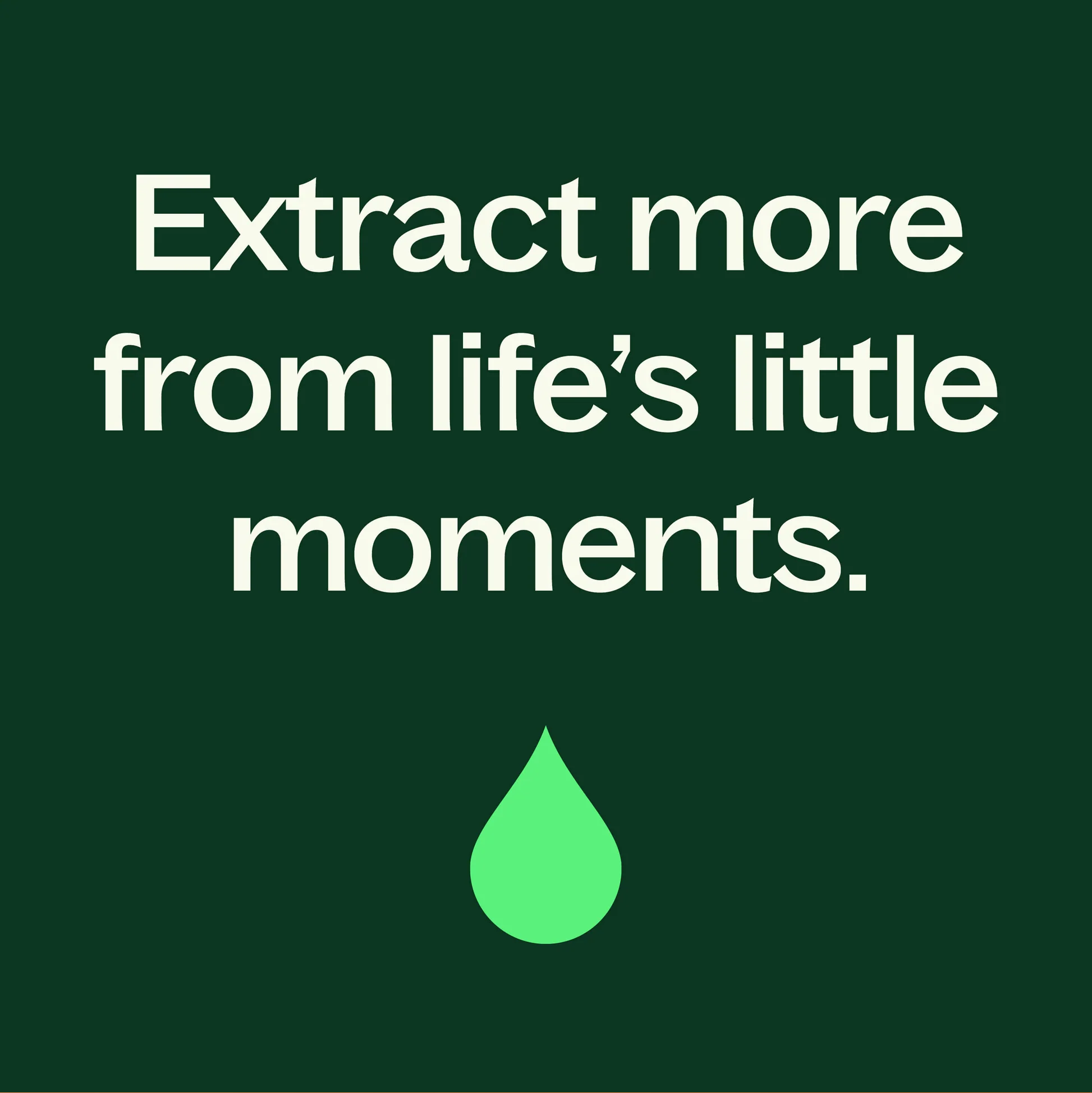 Plant Therapy Frankincense &amp; Argan Facial Oil Roll-On