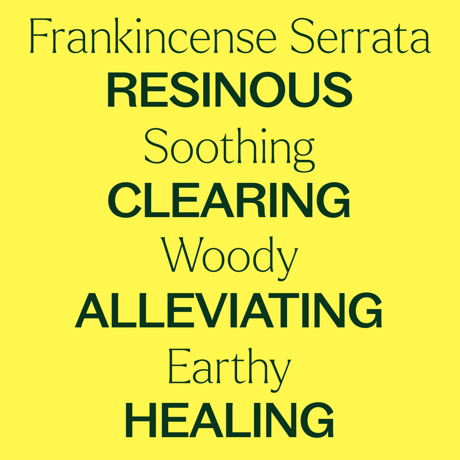 Plant Therapy Frankincense Serrata Essential Oil