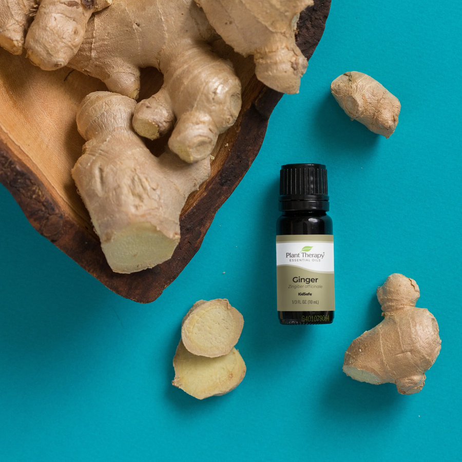 Plant Therapy Ginger Essential Oil