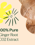 Plant Therapy Ginger Root CO2 Extract