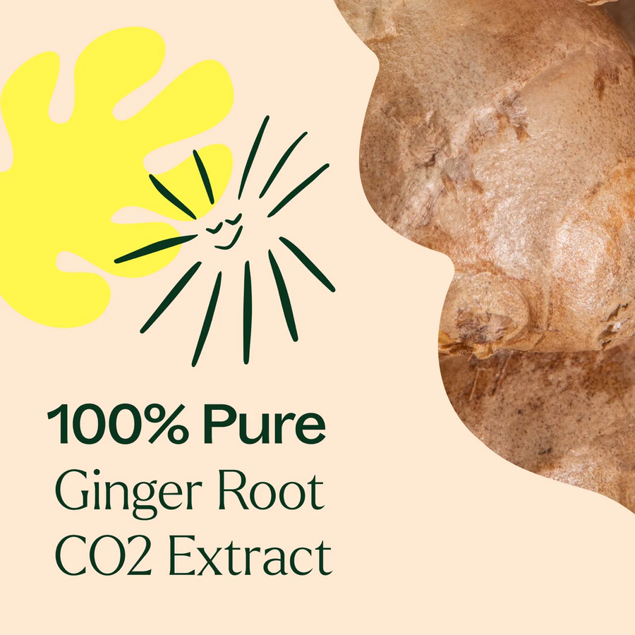 Plant Therapy Ginger Root CO2 Extract