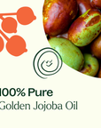 Plant Therapy Jojoba Golden Carrier Oil