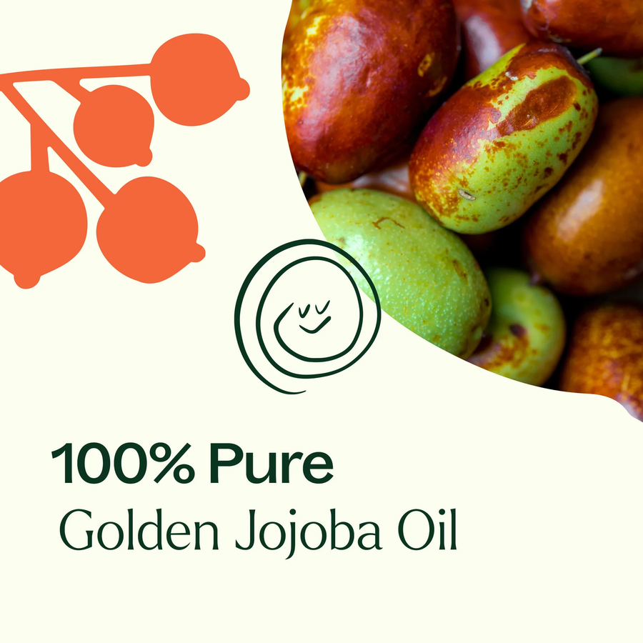 Plant Therapy Jojoba Golden Carrier Oil