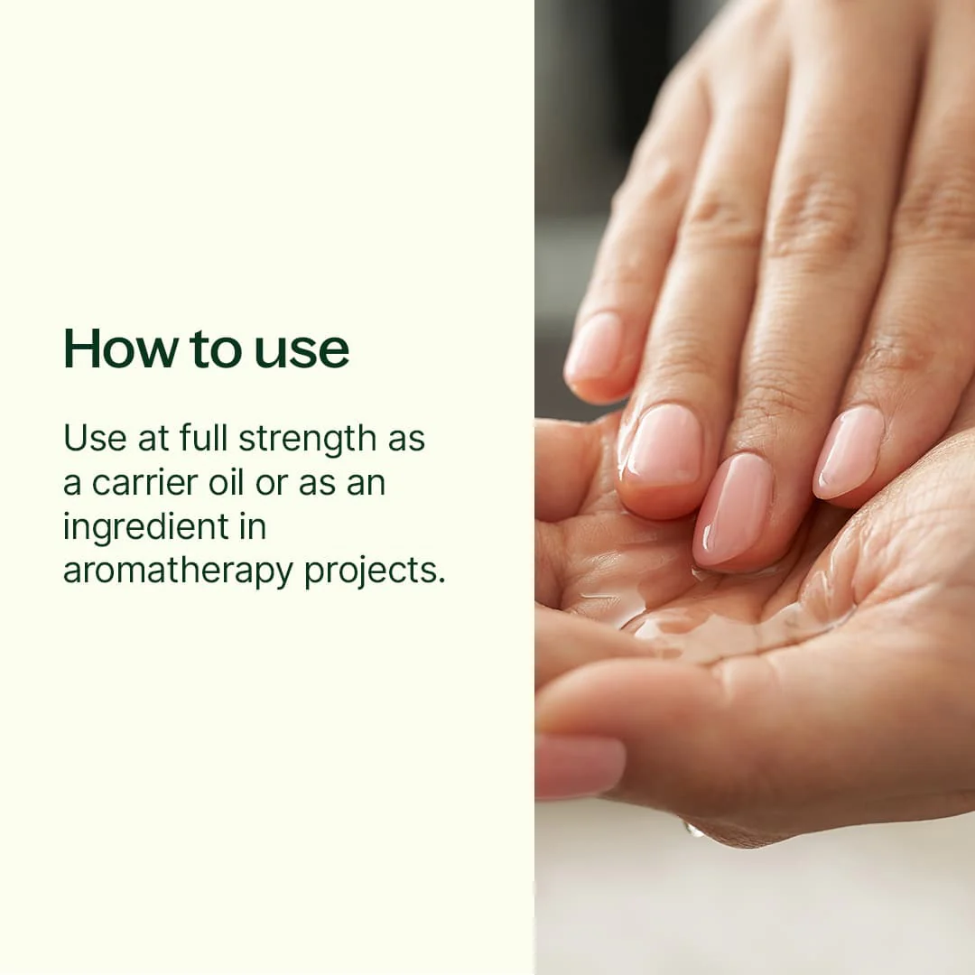 Plant Therapy Grapeseed Carrier Oil