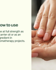 Plant Therapy Grapeseed Carrier Oil