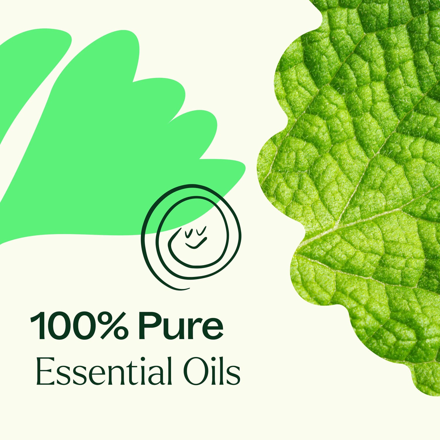 Plant Therapy Gut Aid™ Essential Oil Blend
