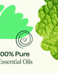 Plant Therapy Gut Aid™ Essential Oil Blend