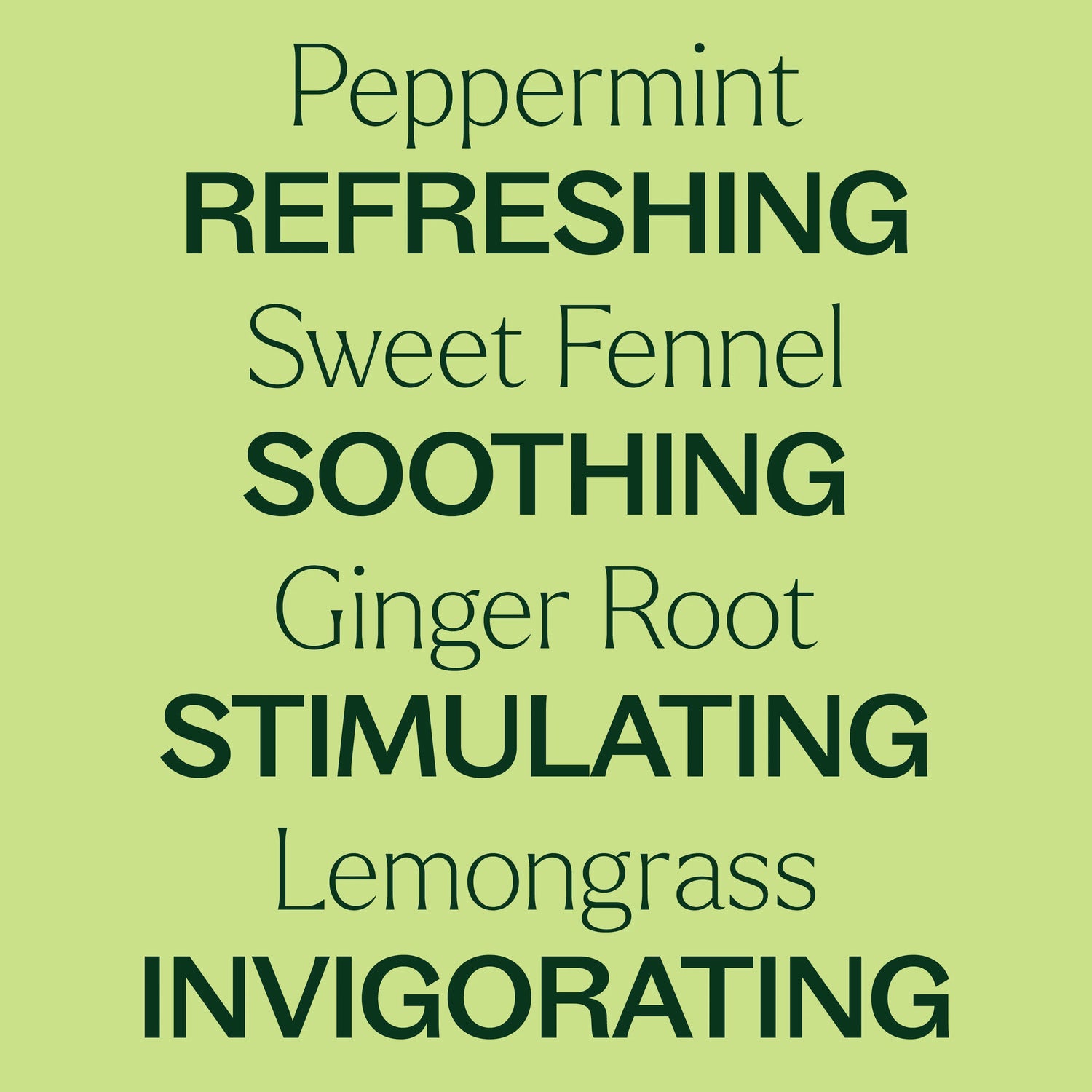 Plant Therapy Gut Aid™ Essential Oil Blend