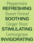 Plant Therapy Gut Aid™ Essential Oil Blend