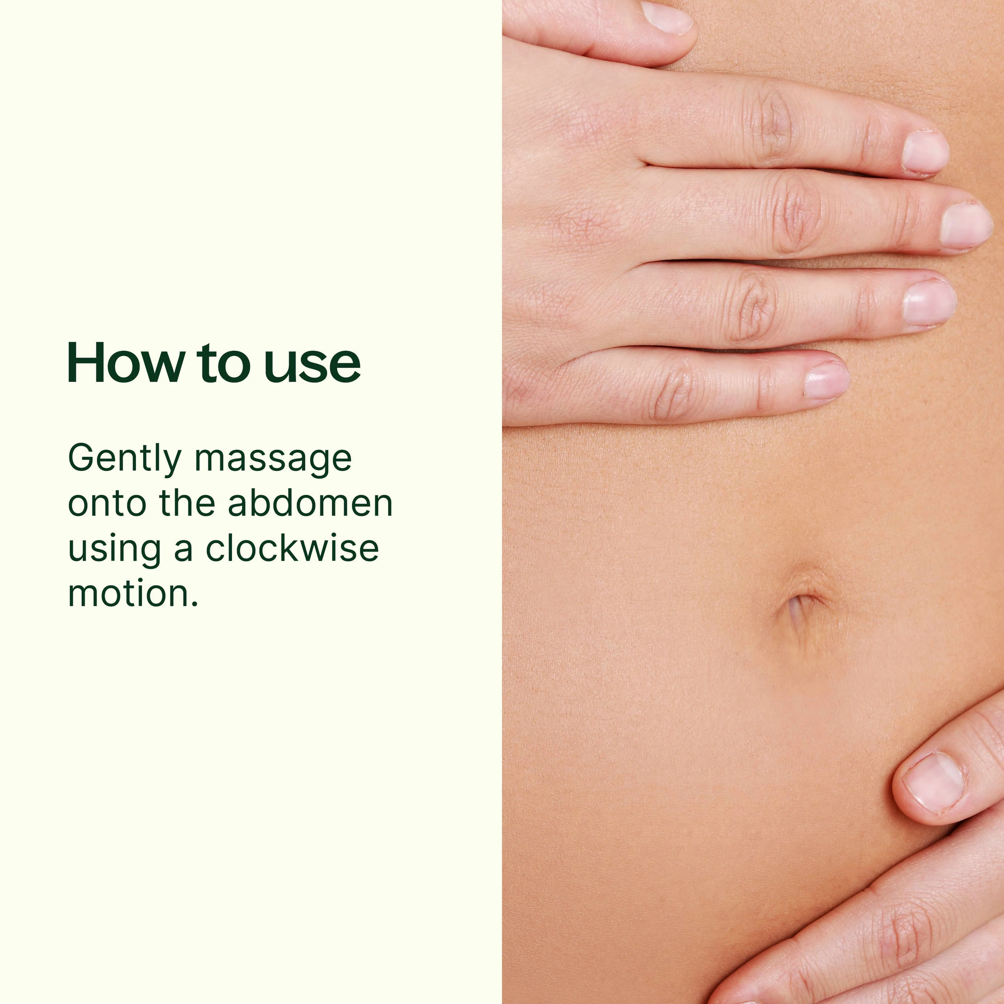 Plant Therapy Gut Aid™ Essential Oil Blend