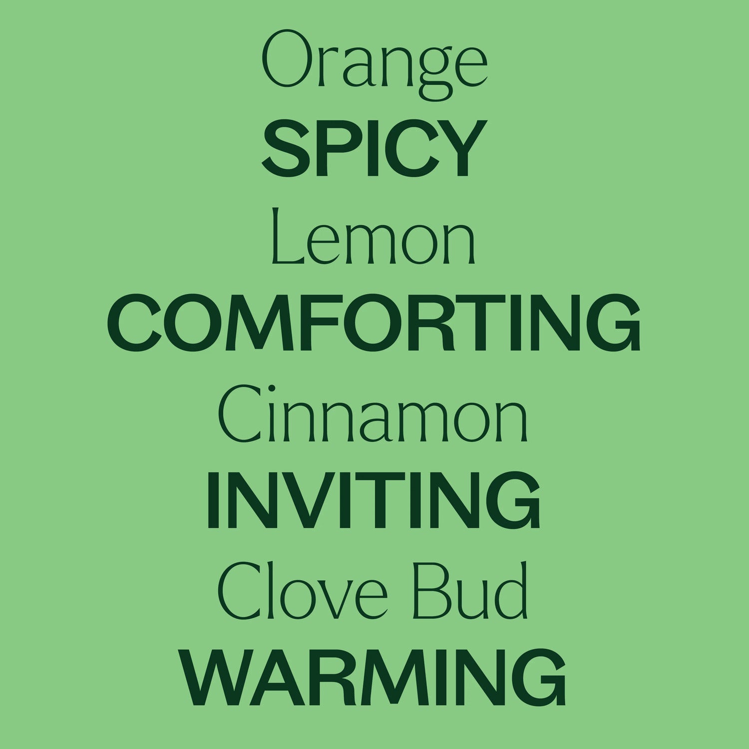 Plant Therapy Holiday Season Essential Oil Blend