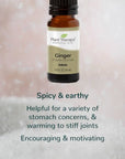 Plant Therapy Ginger Essential Oil