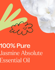 Plant Therapy Jasmine Absolute