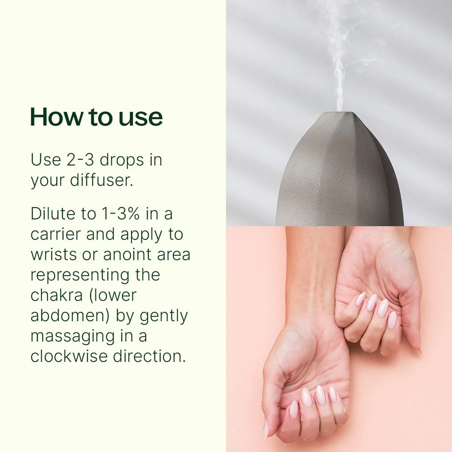 Plant Therapy Joyful Creation (Sacral Chakra) Essential Oil