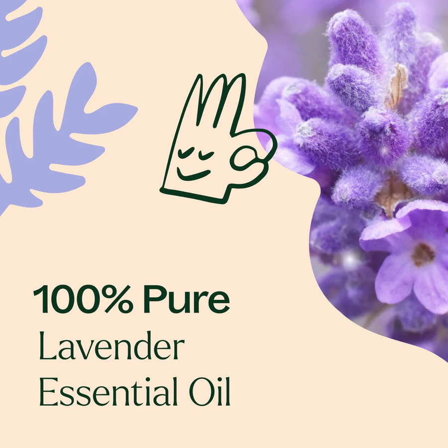 Plant Therapy Lavender Essential Oil