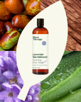 Plant Therapy Body Wash